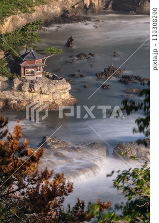 茨城県北茨城市　五浦海岸の朝 119308290