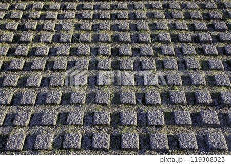 植生用ブロック(植生インターロッキングブロック／緑化ブロック) 119308323