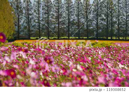 生駒高原　R6年 119308652