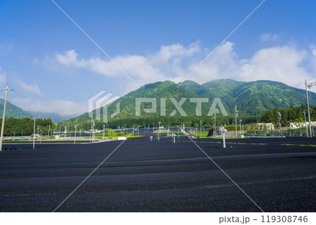 かぶせ茶(冠茶)畑《すいざわ茶・伊勢茶・三重県四日市市水沢町》 119308746