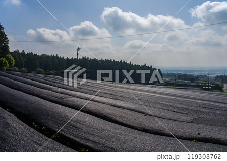 かぶせ茶(冠茶)畑《すいざわ茶・伊勢茶・三重県四日市市水沢町》 119308762