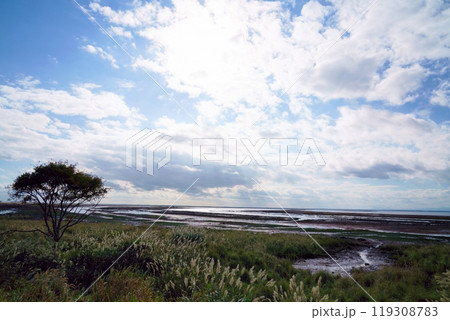 秋の野付半島　北海道 119308783