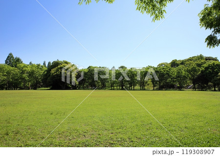 初夏の公園 爽やか 若葉 初夏の公園 爽やか 若葉 119308907