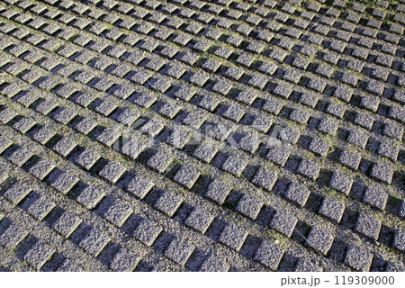 植生用ブロック(植生インターロッキングブロック／緑化ブロック) 119309000