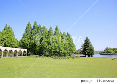 爽やか 初夏の公園 爽やか 初夏の公園 119309058