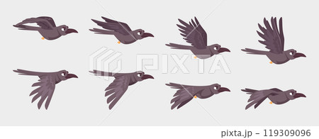 Crow flying. Keyframe animation of flying gothic birds 2d sequence exact vector cartoon template assets for game design projects 119309096