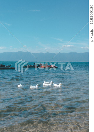 ぷかぷか浮かぶアヒルと水上バイク ぷかぷか浮かぶアヒルと水上バイク 119309186