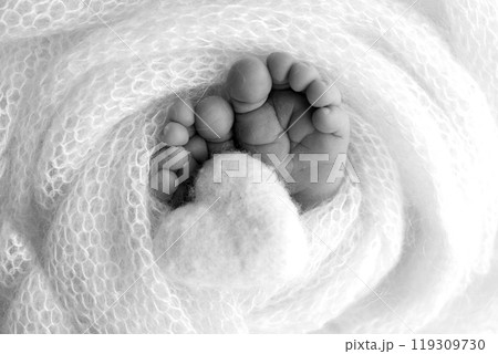 The tiny foot of a newborn baby. Soft feet of a new born in a wool blanket. Close up of toes, heels and feet of a newborn. Knitted heart in the legs of a baby Studio macro photography. Black and white 119309730