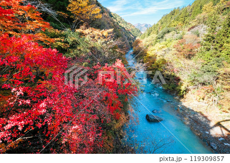 紅葉の三波石峡 119309857