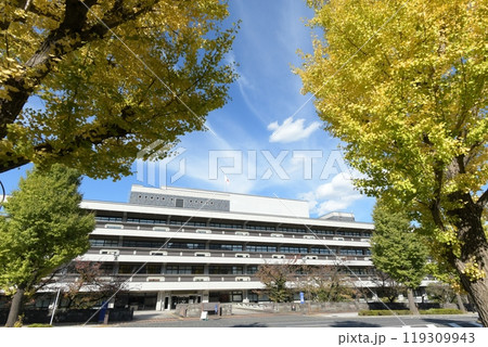 国立国会図書館　東京都千代田区永田町　秋 119309943