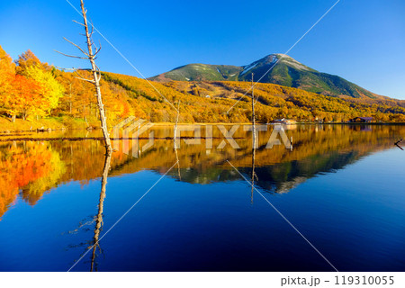 シンメトリーな蓼科山 119310055