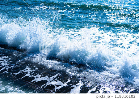 冬の富津岬からの海5 冬の富津岬からの海5 119310102