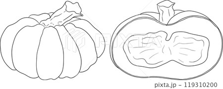 Hand drawn illustration or coloring pages of different types of pumpkins. 119310200