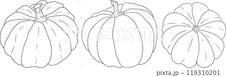 Hand drawn illustration or coloring pages of different types of pumpkins. Hand drawn illustration or coloring pages of different types of pumpkins. 119310201