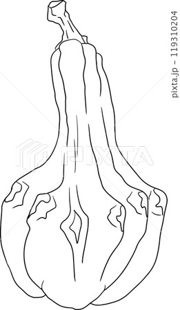 Hand drawn illustration or coloring pages of different types of pumpkins. 119310204