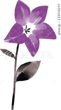 桔梗の墨絵イラスト 119310237