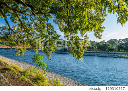 宇治川　京都府宇治市 119310257