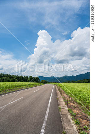 猿楽台地のそば畑　そばの花 119310984