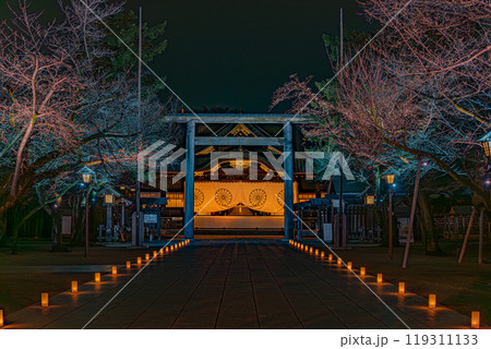 夜桜詣（靖国神社） 119311133