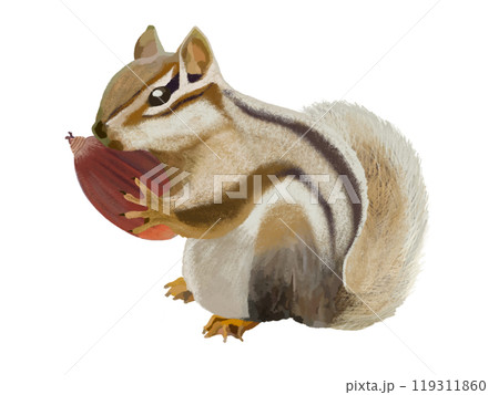 シマリス（ドングリ付き） 119311860