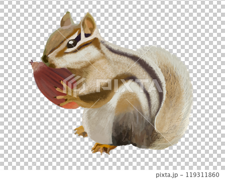 シマリス（ドングリ付き） 119311860