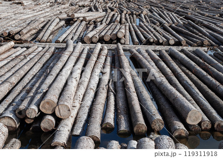 Rafts of logs tied with iron wire Rafts of logs tied with iron wire 119311918