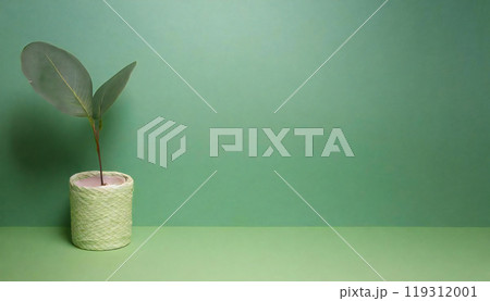 パステル グリーンの背景 パステル グリーンの背景 119312001