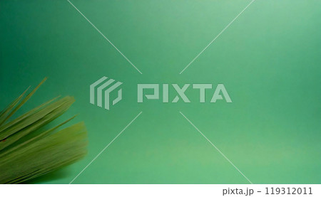 奥行きのある淡い緑色の空間　無地素材　背景 119312011