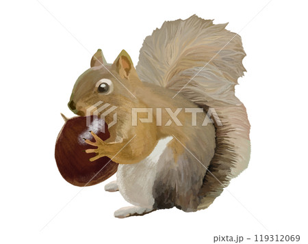 リス（栗付き） 119312069