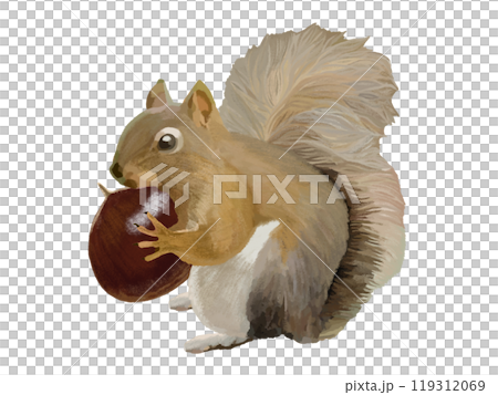 リス（栗付き） 119312069