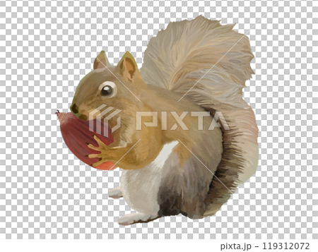 Squirrel (with acorn) Squirrel (with acorn) 119312072