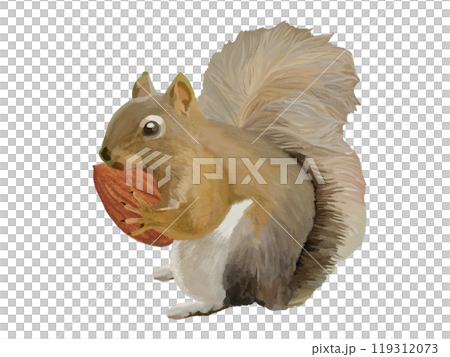 Squirrel (with almonds) 119312073