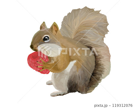 リス（頬袋）ラズベリー付き 119312076