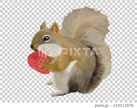 リス（頬袋）ラズベリー付き 119312076