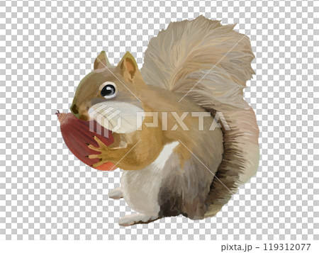 松鼠(頰袋)與橡子 松鼠(頰袋)與橡子 119312077