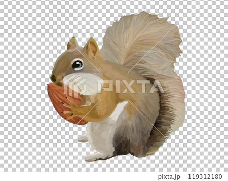 松鼠（頰袋）配杏仁 119312180