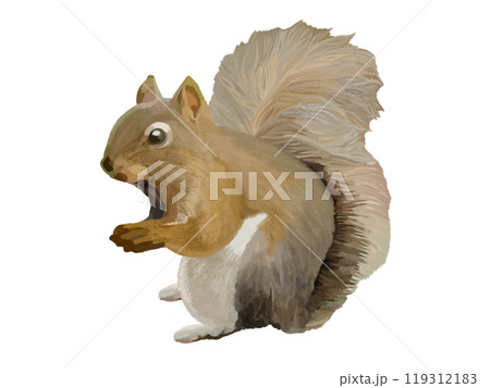 リス 119312183