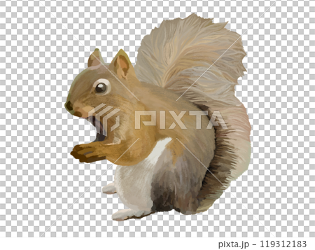 リス 119312183