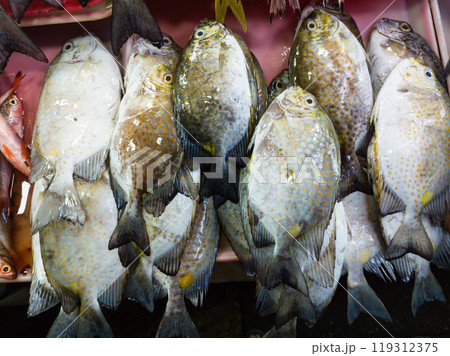 Tropical marine fish and seafoods in Iligan public market. Philippines. 119312375
