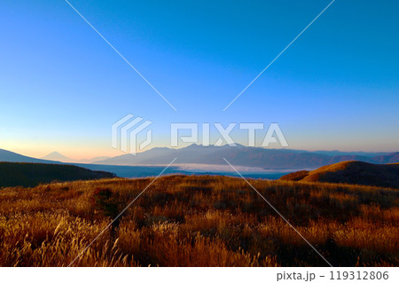 霧ヶ峰湿原植物群落と富士山と南アルプス 119312806