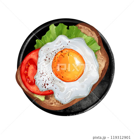 Sunny side up egg. Tasty sandwich with fried eggs, tomato, lettuce. Food illustration with cast iron pans top view. 119312901