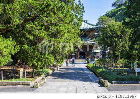 鎌倉市 大本山 建長寺 柏槇(びゃくしん)の庭 鎌倉市 大本山 建長寺 柏槇(びゃくしん)の庭 119312967