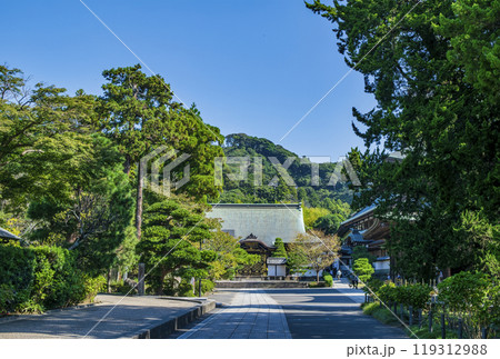 鎌倉市 大本山 建長寺 龍王殿(方丈) 国重要文化財 鎌倉市 大本山 建長寺 龍王殿(方丈) 国重要文化財 119312988