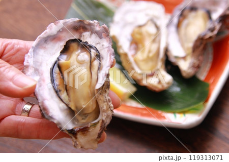 蒸し牡蠣 冬の味覚 蒸し牡蠣 冬の味覚 119313071