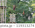 ロープで遊ぶオラウータン 119313274