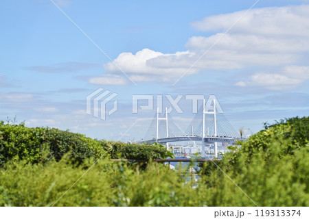 港の見える丘公園から望む横浜ベイブリッジ 119313374