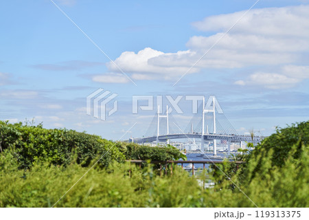 港の見える丘公園から望む横浜ベイブリッジ 119313375