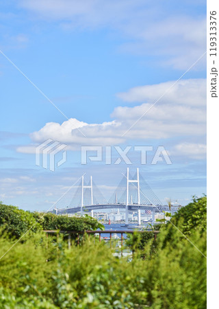 港の見える丘公園から望む横浜ベイブリッジ 119313376