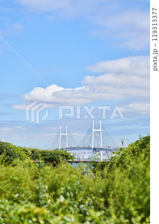 港の見える丘公園から望む横浜ベイブリッジ 119313377