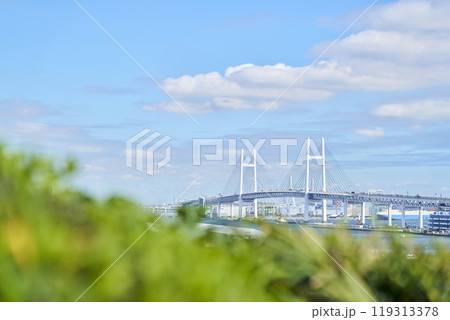 港の見える丘公園から望む横浜ベイブリッジ 港の見える丘公園から望む横浜ベイブリッジ 119313378